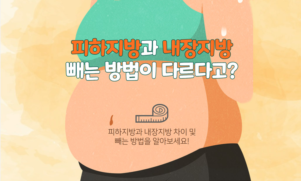 피하지방 내장지방.jpg