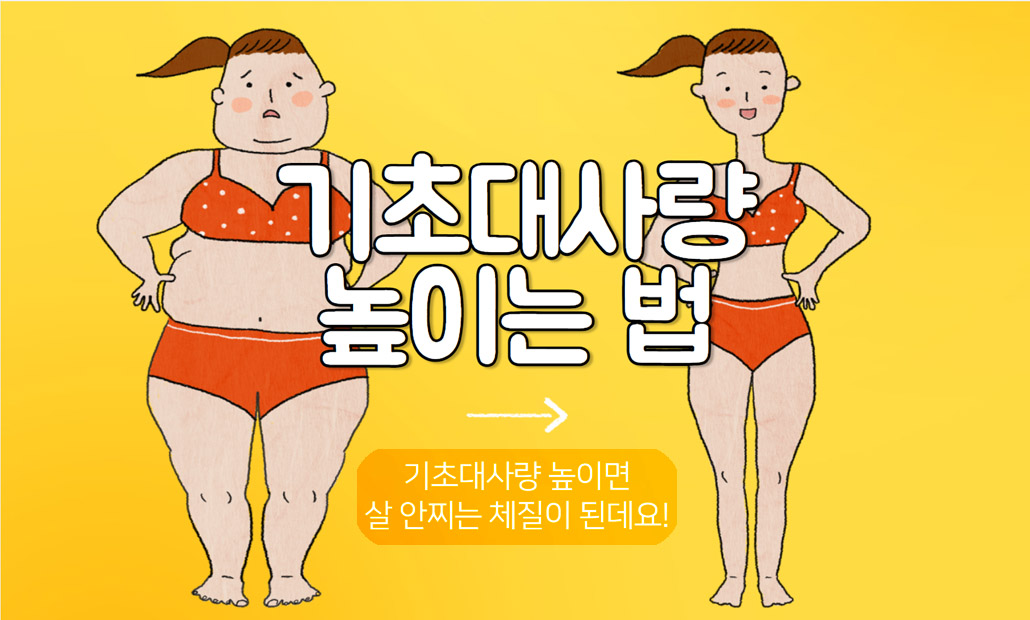 기초대사량.jpg