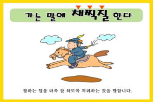 속담카드