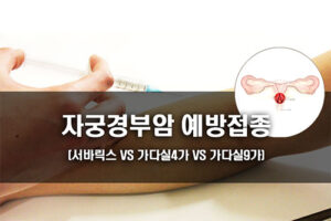 자궁경부암 예방접종 백신 종류 및 특징 (서바릭스 VS 가다실4가 VS 가다실9가)