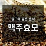 탈모에 좋은 음식, 맥주효모 효능