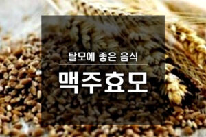 탈모에 좋은 음식, 맥주효모 효능