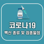 코로나19 예방접종 일정 및  백신 종류